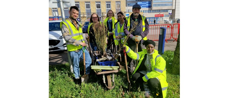 Tree planting 2023